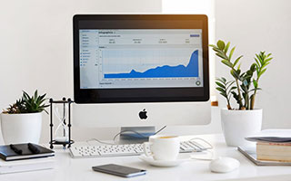 惊险刺激：猛虎与雄鹿的比赛将掀起风波，猛虎和雄狮