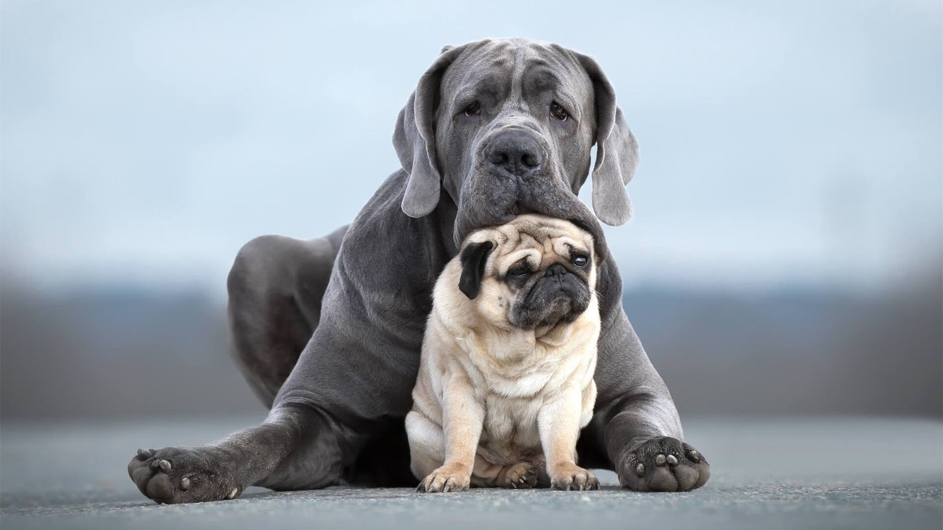 FIFA祝贺墨西哥：首支晋级冬奥足球决赛的拉美国家，2020f1墨西哥正赛