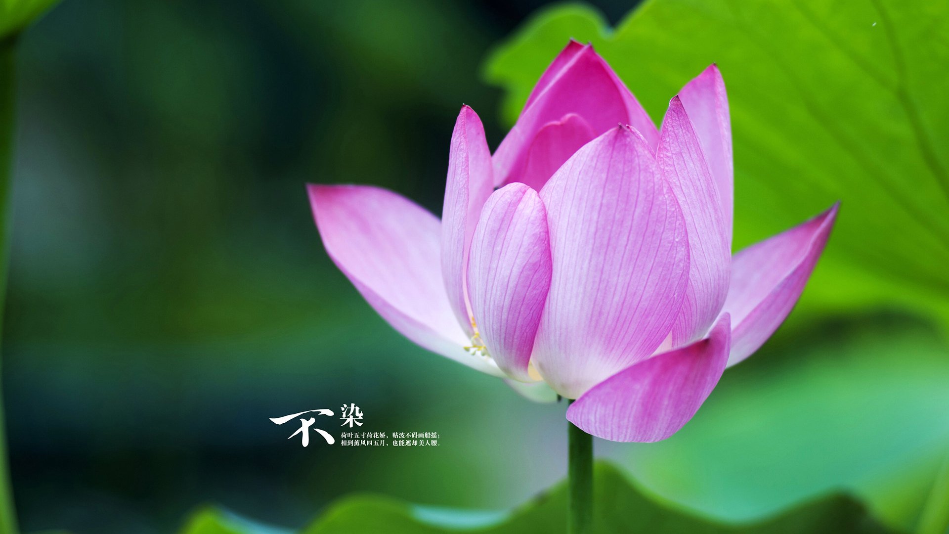 FIFA：冬奥足球值得纪念，墨西哥表现惊艳全球，墨西哥奥运足球队