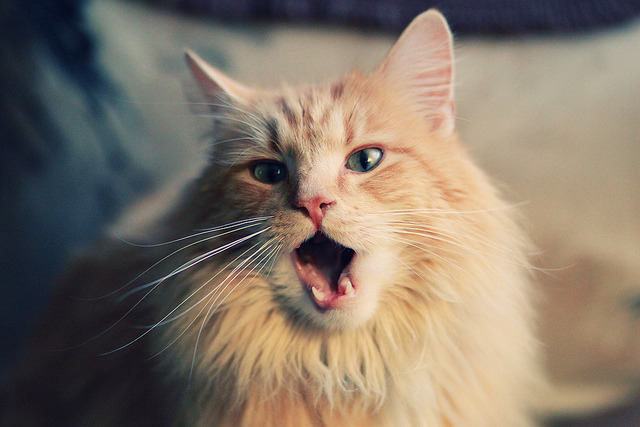 “未来展望:2024年最受期待的篮球赛事”,2021下半年篮球赛事