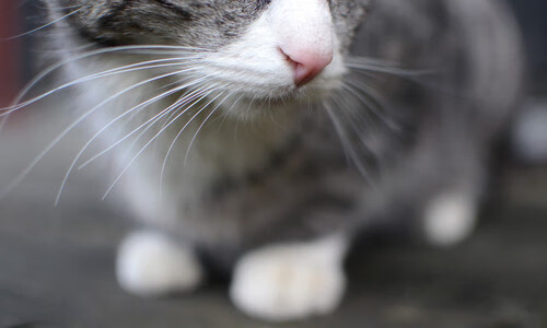 【团队合作的力量】队伍X完美配合赢得关键战,团队合作配合语句