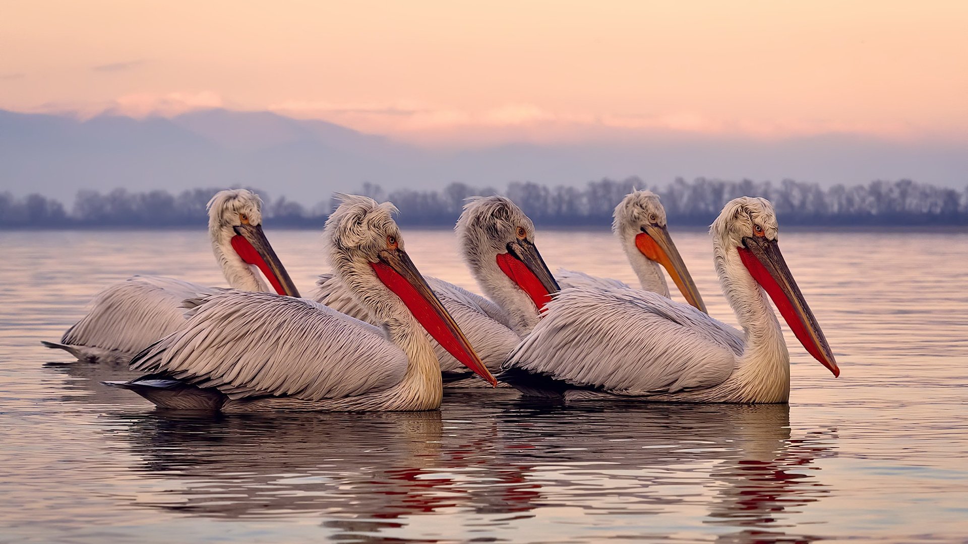 中国职业联赛引入智能裁判系统，赛事公平性持续提升，2021全国职业院校技能大赛裁判员