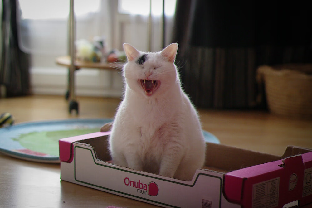 历史名场：NBA历史上永载史册的战役，nba历史十大