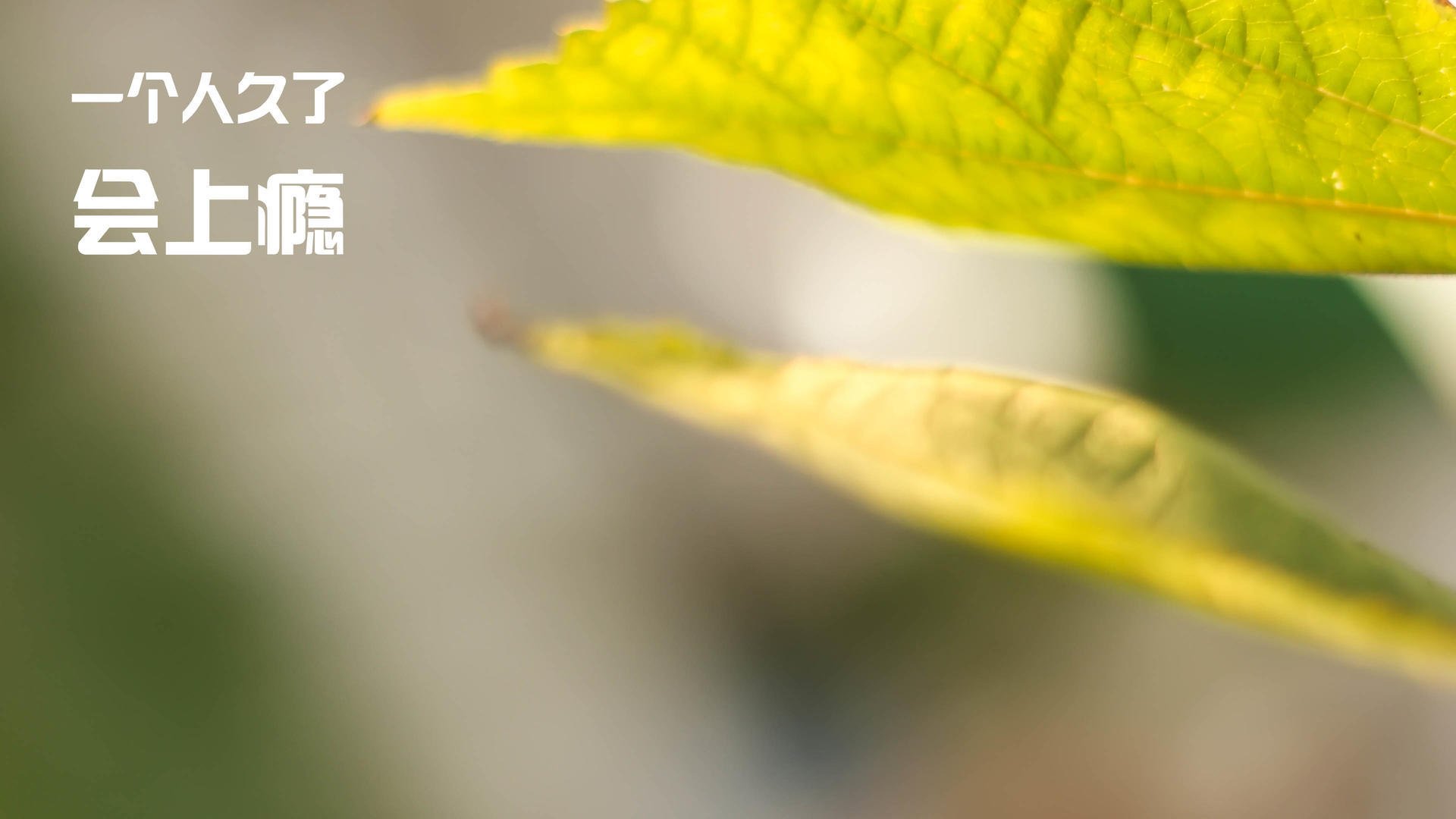 火箭队开启重建模式,年轻核心逐步成型,火箭队重建的最好方法