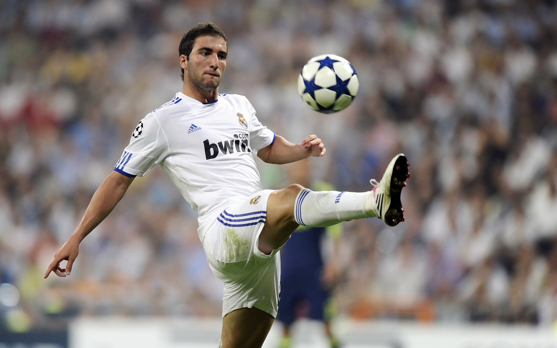 威尔士国家队晋级欧洲杯正赛，巨星光芒耀眼，威尔士欧洲杯预选赛比赛结果