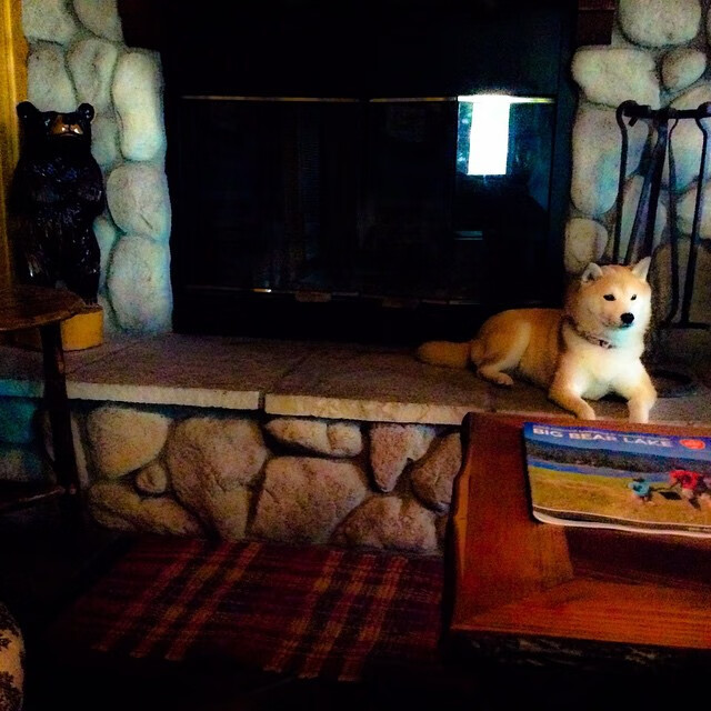 巴黎圣日耳曼主场击败尼斯，取得背靠背胜利，巴黎圣日耳曼队首发