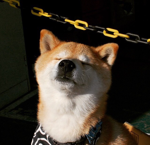 杜塞尔多夫对决雾霾拉夫，谁能拔得头筹？，杜塞尔多夫治安如何