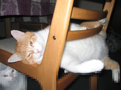 根堡用进球击败普瓦，取得近期首胜，根宝足球基地出了哪些球员