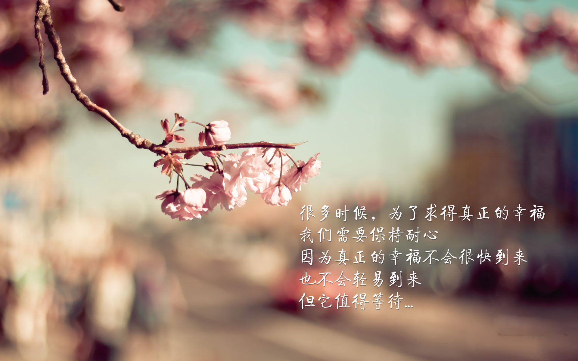 电竞战队训练营管理与战术执行效率提升研究,电竞职业训练营