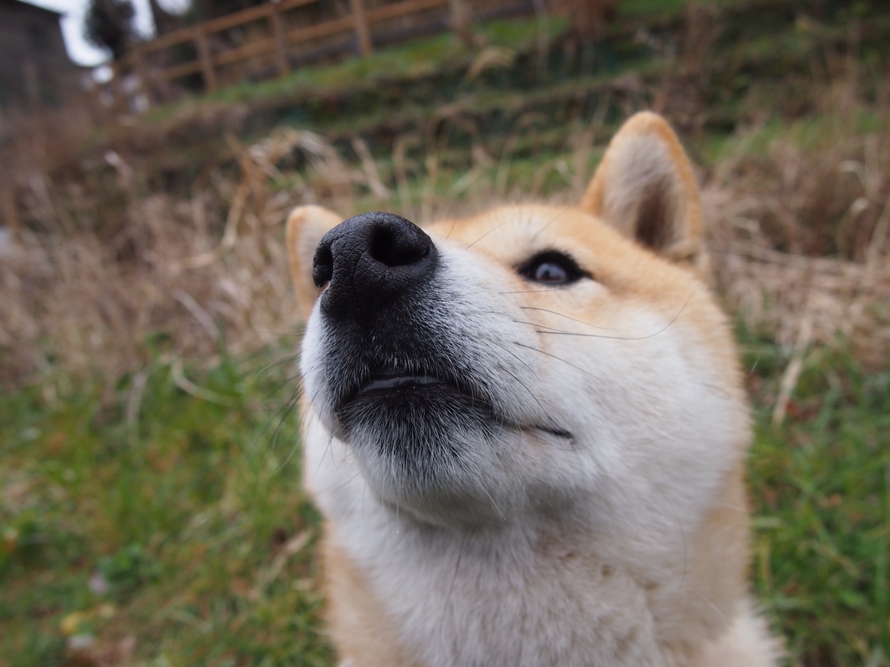 警戒加勒比海队士气，乌拉圭队战胜立陶宛，乌拉圭对阵加纳中文解说