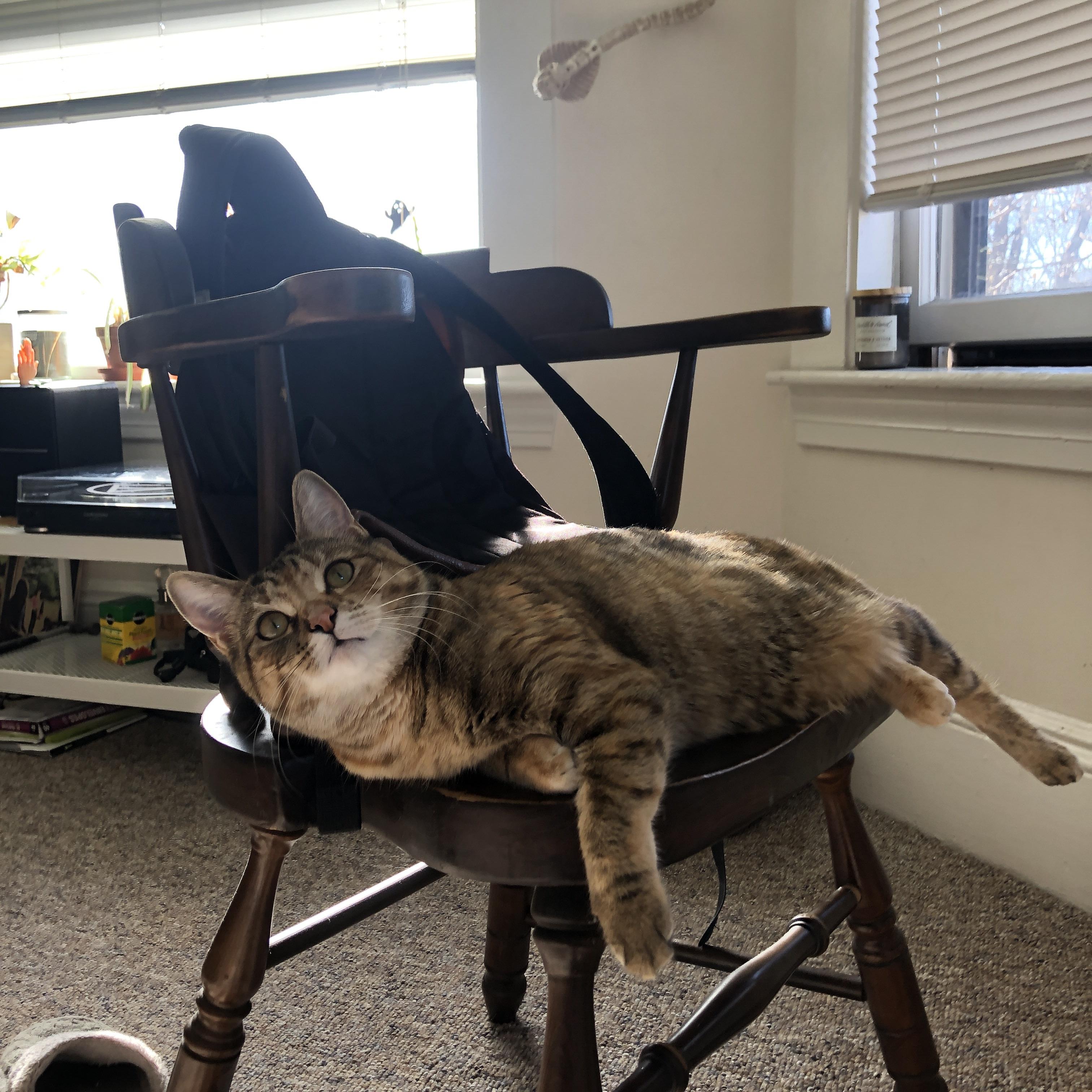 让球迷狂欢:魔术对篮网的比赛或将打出火花,魔术对战篮网