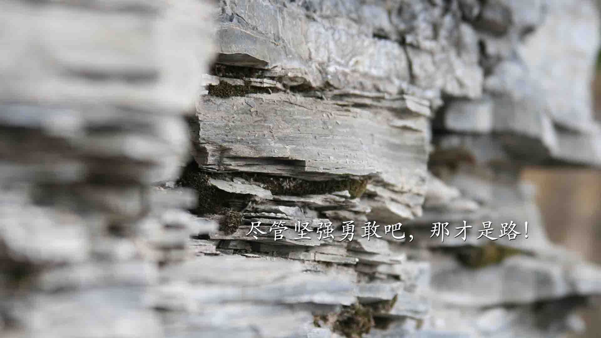 训练师技术受到质疑，球队状态出现大起大落，训练师是什么职业