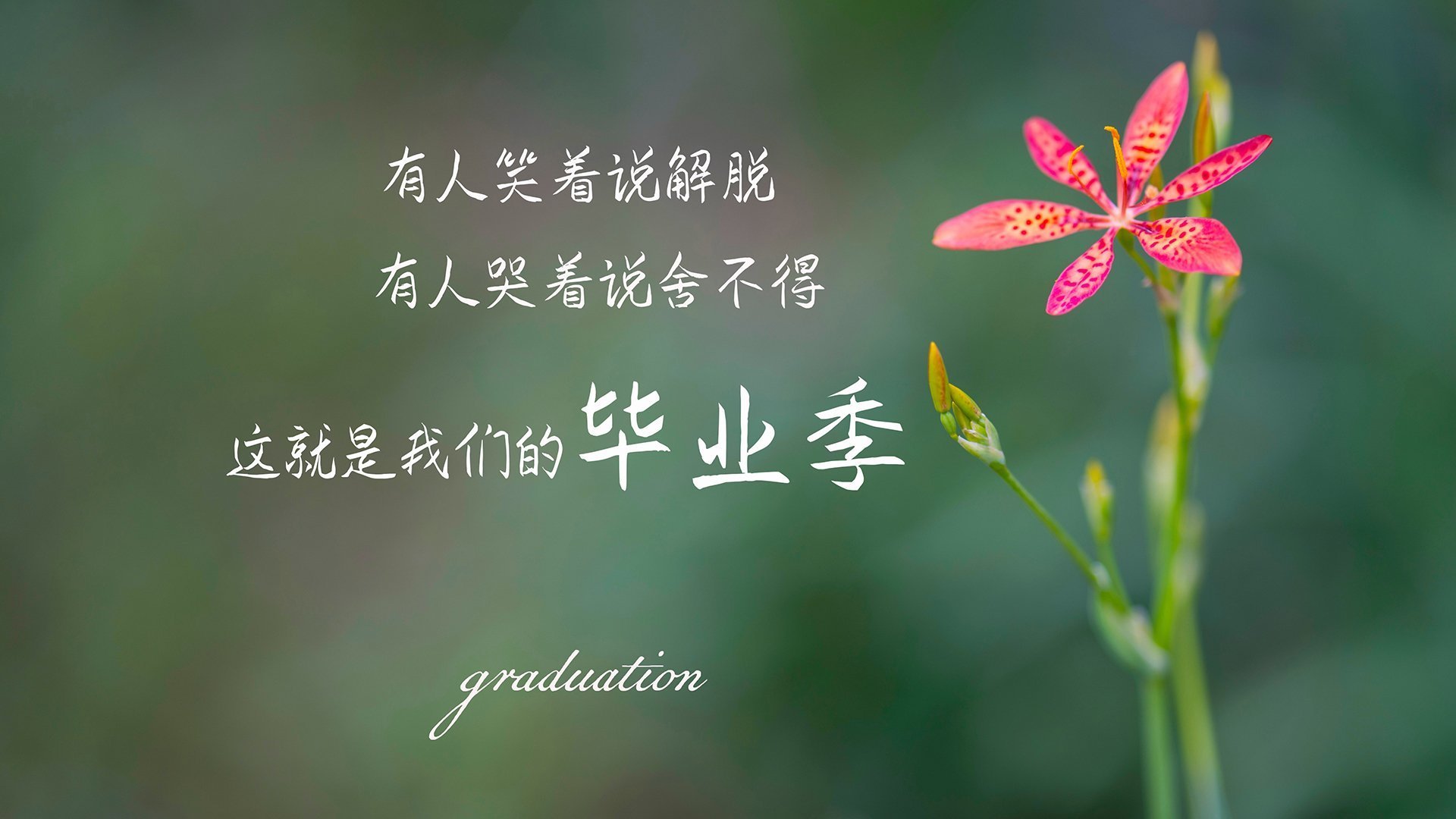 首尔SK骑士关键时刻表现冷静,首尔sk骑士直播