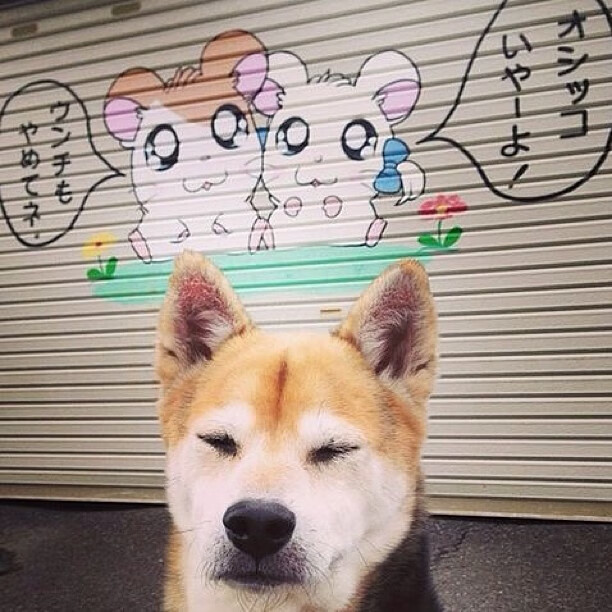 德甲青训中心开展多感官刺激训练提升比赛应对效率，多感官训练定义