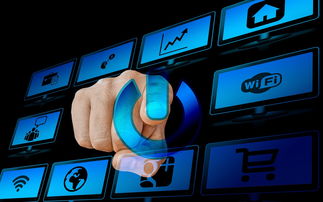 篮球专项技能动作视频资源开发，篮球技术动作视频