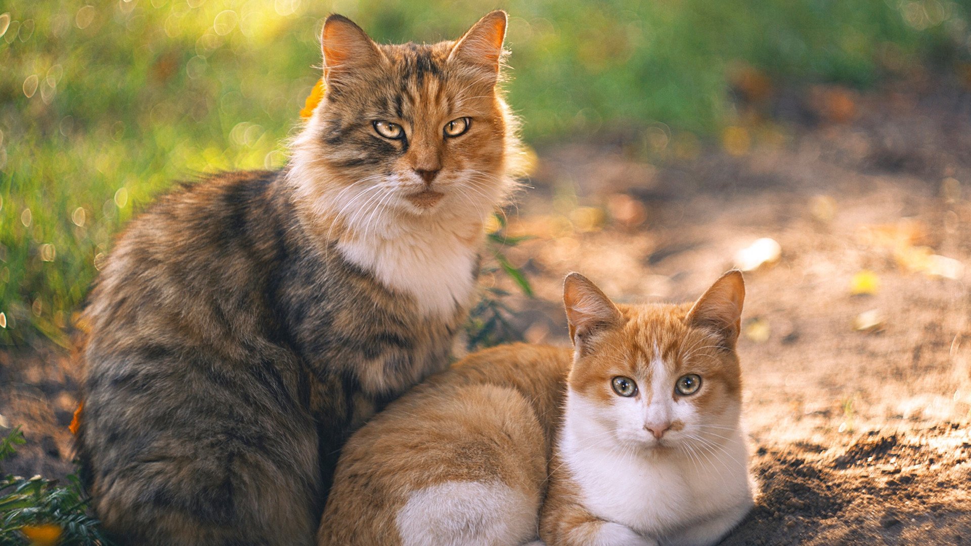 中国男篮年轻球员快速成长 助力球队未来，中国男篮潜力新人