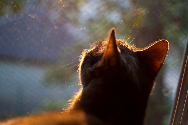 中国男篮年轻球员快速成长 助力球队未来,中国男篮潜力新人