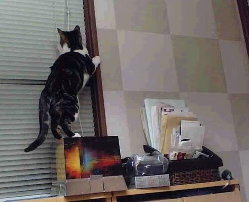 五大联赛是否提高替补席进攻效率转化率，五大联赛替补人数规定