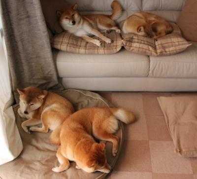 决赛焦点人物:基里尔·普里戈达,里基·普伊赫