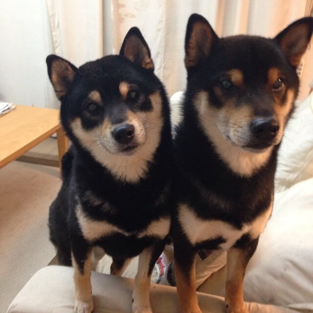 美洲杯明星争光：突破、精彩助攻！，美洲杯选手