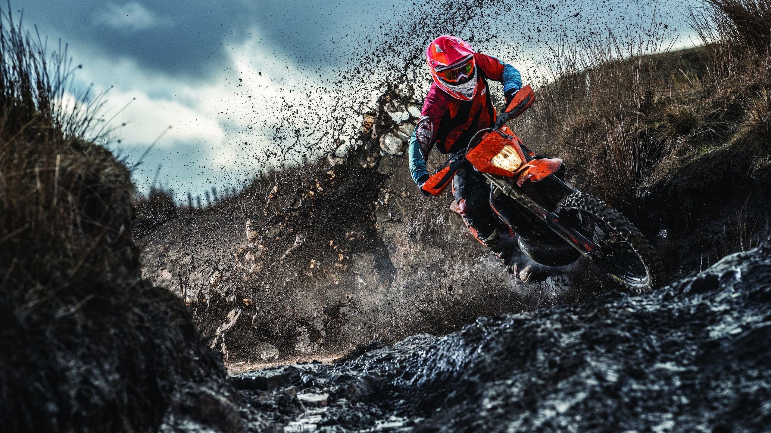 芈昱廷在“湾区杯”围棋大棋士赛中晋级决赛，围棋 芈昱廷